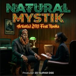 NATURAL MYSTIK DN1 NOOKS